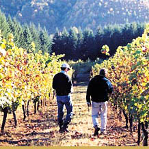 Wine touring is one of Oregon�s pleasures.