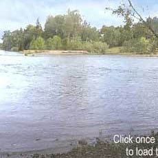 The lower Willamette River flows through Elijah Bristow State Park.